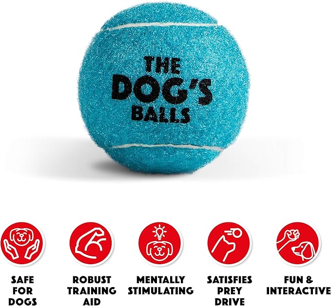 The Dog's Balls Dog Tennis Balls for Dogs, Blue, 12-Pack - Non-Abrasive Felt Fetch Balls, Tough Rubber Core, Float in Water, Fits Standard Launchers
