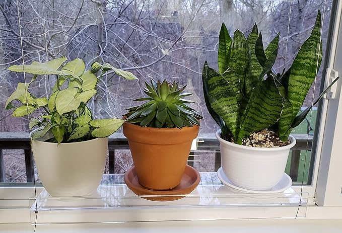 Hanging Acrylic Shelves for Windows (22" Wide, 5 Shelves - 66" Tall)