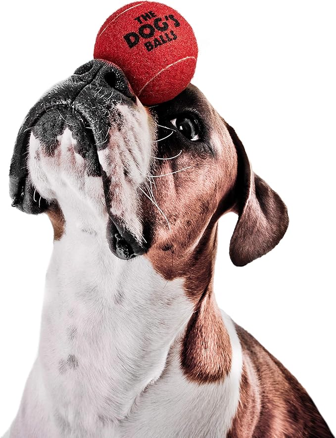 The Dog's Balls Dog Tennis Balls for Dogs, Red, 12-Pack - Non-Abrasive Felt Fetch Balls, Tough Rubber Core, Float in Water, Fits Standard Launchers