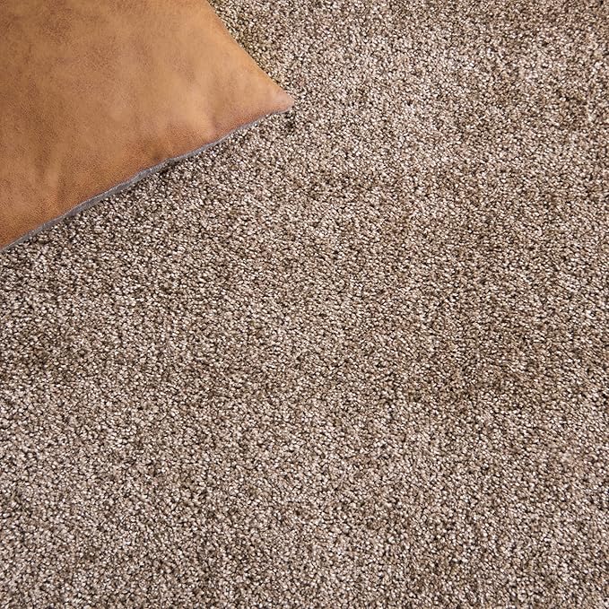 SAFAVIEH Florida Shag Collection Area Rug - 6'7" Square, Beige & Beige, Border Design, Non-Shedding & Easy Care, 1.2-inch Thick Ideal for High Traffic Areas in Living Room, Bedroom (SG454-1313)
